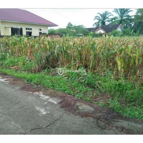 Tanah SHM Siap Bangun Lokasi Asri Dekat Dengan Fasilitas ...