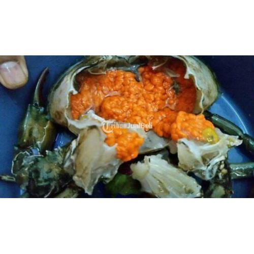 Kepiting Telur Kepiting Jantan Kepiting Soka Lezat Bermutu Harga Murah Di Sidoarjo Jualbeli 