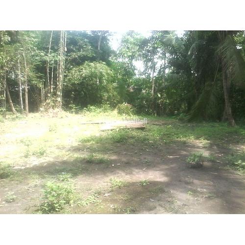 Tanah Siap Bangun Daerah Desa Wisata Ingkung Bantul di ...