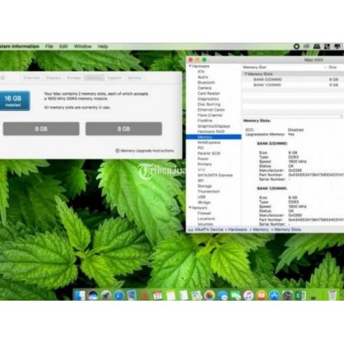 ssd drive for mac mini 2012 ssd drive for mac mini 2012