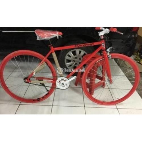 torpedo fixie