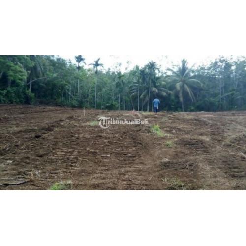 Tanah Kavling Lt 150 M2 Shm Datar Bukan Timbunan Dekat Wahana Surya Di Bengkulu Tribunjualbeli Com