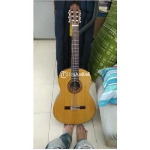 Informasi tentang Harga Gitar Yamaha C315 Bekas Viral