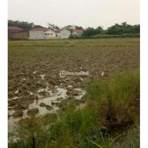  Jual  Tanah  Bebas Banjir Dekat Usu di  Padang  Bulan  Selayang 