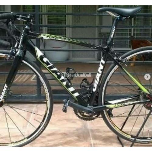 jual giant tcr