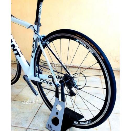 giant road bike harga