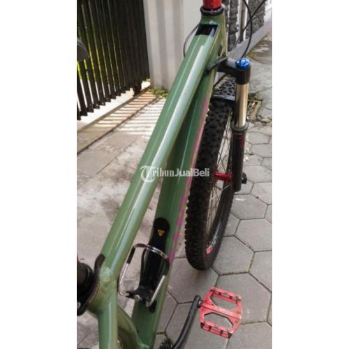 jual santa cruz chameleon