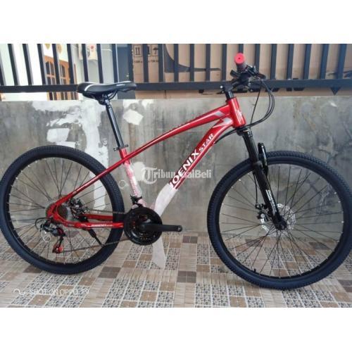 mtb phoenix 26