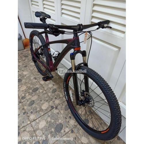 mtb polygon carbon