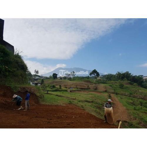 Dijual Tanaha 2000m2 di Cisarua Puncak Bogor di Bogor - TribunJualBeli.com