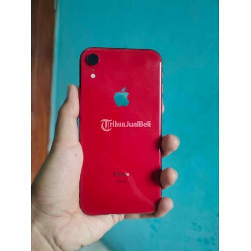 IPhone XR 64 GB Merah bekas Bagus Mulus Fullset Ex Inter Harga Murah di