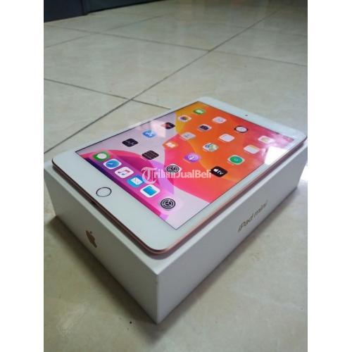  Ipad  Mini 5 Bekas Warna Gold 256gb Wifi Only Normal 