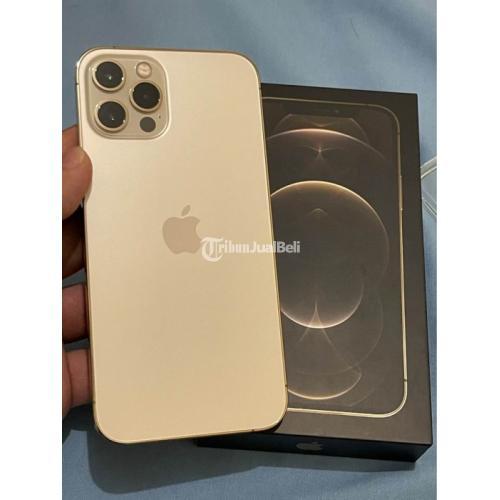 Hp Iphone 12 Pro 256gb Ibox Gold Bekas Garansi Mulus No Minus Harga Nego Di Jakarta Timur Jualbeli 