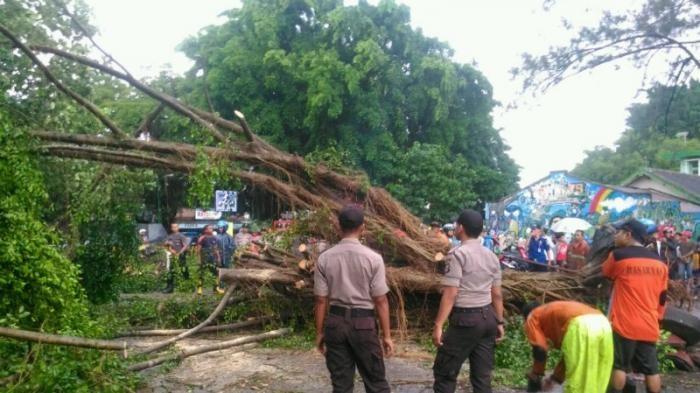 Jadi Inilah Penyebab Terjadinya Fenomena Alam Angin ...