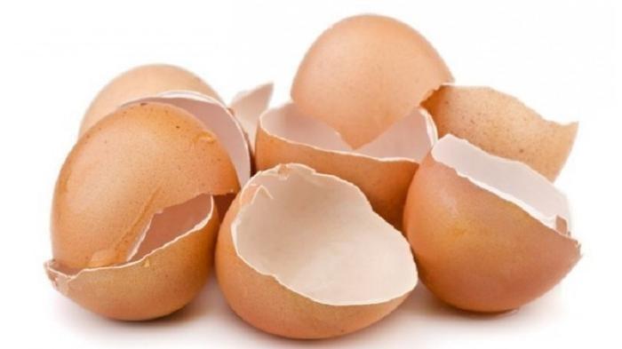 Kulit Telur Ternyata Bisa Dikonsumsi Dan Sangat Bermanfaat Untuk