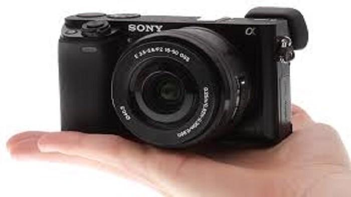 3 Pilihan Kamera  DSLR dan Mirrorless Bekas Canon  dan Sony 