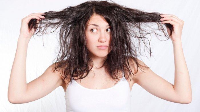 Tips Mengatasi Rambut  yang Berminyak Hanya dengan Modal 
