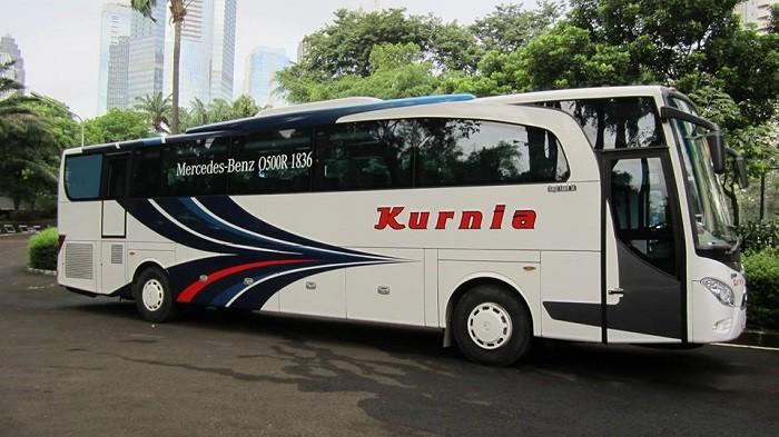 Ini Penjelasan Kenapa Beberapa Bus  Memiliki Pintu  di 