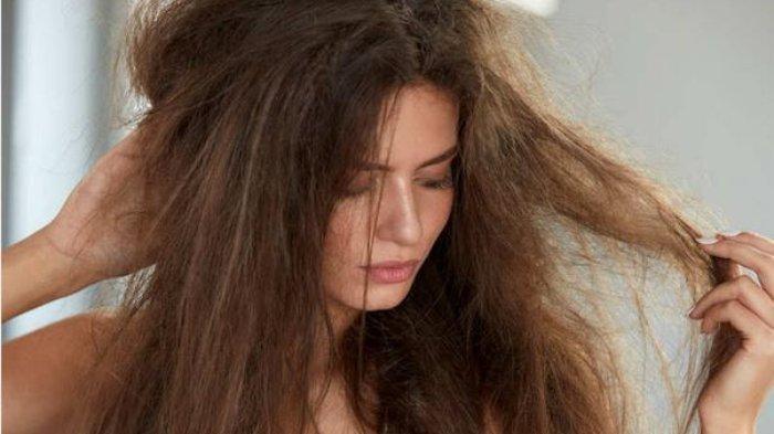 Punya Masalah Rambut Kering  Atasi dengan 5 Bahan Alami 